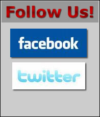 Follow
                                Us